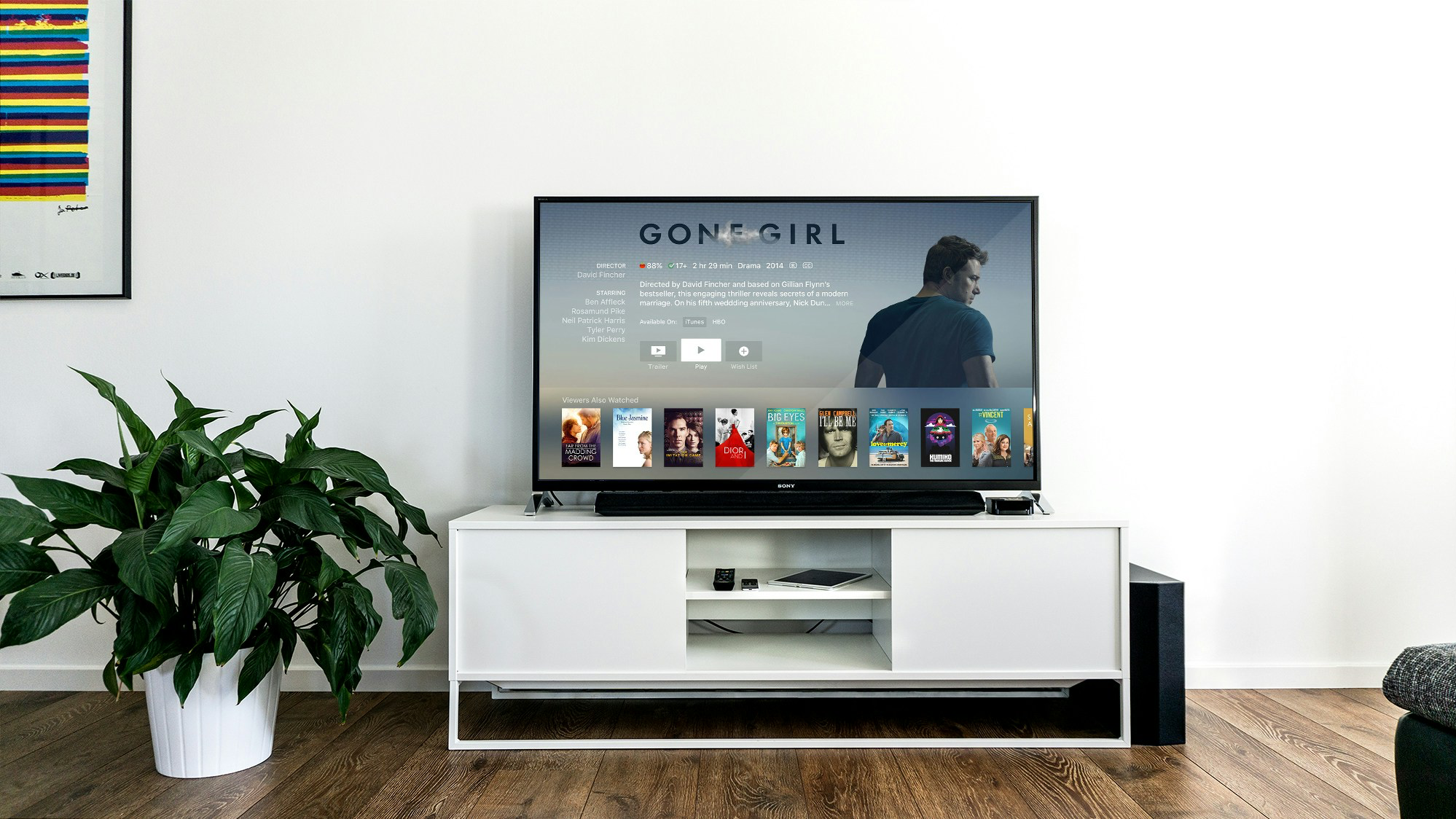 Home entertainment setup